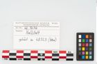 Etikett zu Eisenfragmente (NHMW-PRAE-048323b)